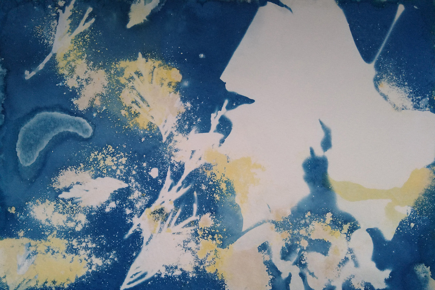 Cyanotype produced as part of Caitriona Dunnetts's workshops at the Yemeni Community Centre 